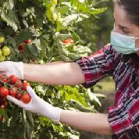 Programa Mejor Prevenir Medidas Para El Sector Agropecuario Ante La